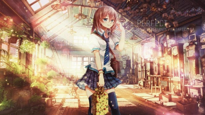 新手想要打好篮球，主要练运球还是投篮？